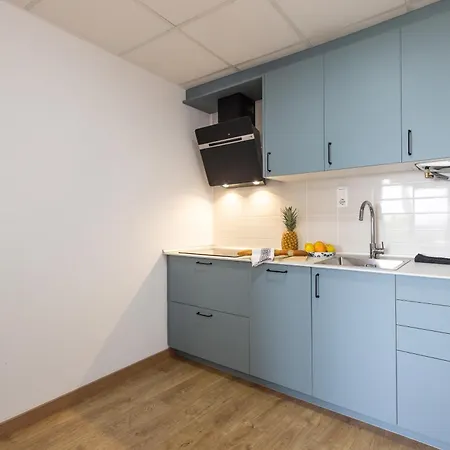 Sea View Apartment, Spacious And Renovated, 10 Minutes To The Beach, Pool 公寓 萨洛
